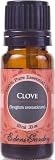 Clove 100% Pure Therapeutic Grade Essential Oil- 10 ml
