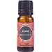 Clove 100% Pure Therapeutic Grade Essential Oil- 10 ml