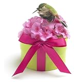 Bloembox Habitat Garden: Hummingbird Garden