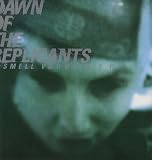 I Smell Voodoo [12" VINYL]