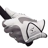 �u���a�X�g�� �c�A�[�X�e�[�W �N�[���v���W�F�N�g �O���[�u GL80TS WG�i��/�O���[�j L