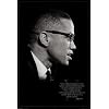 Malcolm X (Brotherhood) Art Poster Print - 24x36 Poster Print, 24x36 Photography Poster Print, 24x36