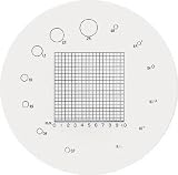 リーフ ガラススケール 2232596 S207