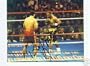 RAY MERCER AUTOGRAPHED BOXING PHOTO VS WLADIMIR KLITSCHKO (BOXING)