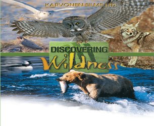 Discovering Wildness - Owls