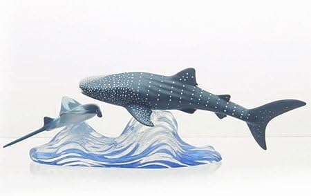 Whale Shark Encounter