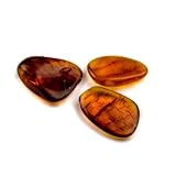 Raw Honey Amber Gemstones Set $0.29