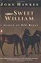 Sweet William: A Memoir of Old Horse