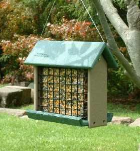 Woodpecker Feeder