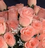 84 Silk Rose Flowers w/Raindrops - Wedding Flowers/Bridal/Floral - Peach