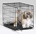 Pet Supplies : Midwest Metals 24X18X19 Single Door I-Crate
