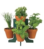 Buzzy Herb Grow Kit With Stand