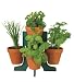 Buzzy Herb Grow Kit With Stand