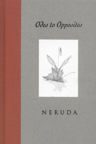 Odes to Opposites: Bilingual Edition under The Books Store