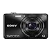 Sony Cyber-shot DSC-WX220 18.2 MP Digital Camera Bundles (Premium Bundle)
