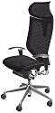 バロン (Baron) チェア 【エクストラハイバック】 可動ヘッドレスト ポリッシュフレーム 可動肘 座メッシュ ブラック CP81AR FDH1