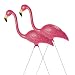 Sculptural Gardens Pink Flamingo Lawn Ornament, Pair
