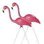 Sculptural Gardens by Heritage Farms Pink Flamingo Pair, Lawn Ornament