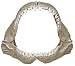 Exotic Environments Great White Shark Jaws, Small, 6-Inch by 3-1/2-Inch by 5-Inch