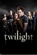 1art1 42983 Twilight - Group Poster 91 x 61 cm