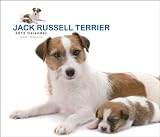 Jack Russell Terrier Deluxe 2010 Square Wall ARTLIST (Multilingual Edition)