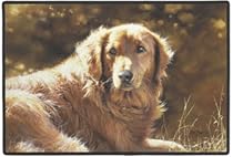 Doormat Gift Shop - Heart of Gold Dog Doormat Door Mat Rug :  heart of gold dog doormat door mat rug rug gift shop