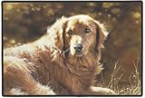 Heart of Gold Dog Doormat Door Mat Rug Bonnie Marris