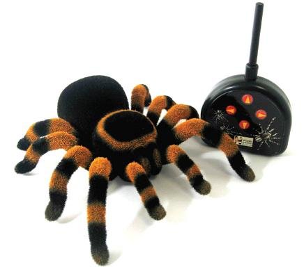 Childrens Toyshop  Toys : Radio Control Tarantula