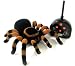 Toys : National History Museum Remote Controlled Tarantula
