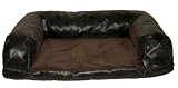 41SuO8RbzrL. SL160  Brainstorm Pets AKC Classic Dreamerz Boutique Pet Bed, Medium
