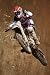 41SuPVI8VwL. SL75  Bike Fenders