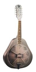 Recording King Metal Mandolin Champagne Matte