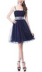 Chiffon Spaghetti Strap Short Lace Homecoming Dress/Prom Dress 