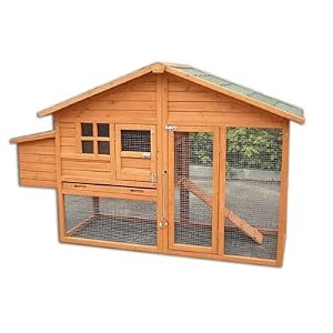 Malaga Extra Large Chicken Coop with Run: Amazon.co.uk: Pet Supplies
