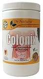 Dr. Natura Colonix Intestinal Fiber (360g)