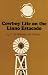 Cowboy Life On The Llano Estacado