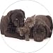 from Fridge Magnets Black Labrador Dogs and Kitten Fridge Magnet Stocking Filler, Ref:AD-L49FM