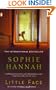 Little Face: A Novel