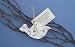 New Cast Paper Art Ornament-Dove Recycled Cotton Fiber Flowers Wildflower Seeds Decoration