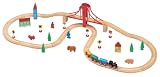 Maxim 50 Piece Train Set