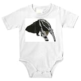 Onesie with zoo, greater, captivity, giant, South American, insectivore, mammal, anteater, pampas, grassland, animal, myrsloken