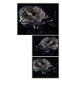 Siwo - Design Katzen Fliesen Dekoration (314)