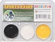 Snazaroo Steelers Color Pack Face Makeup Paint Kit