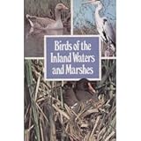 Birds of the inland waters and marshes