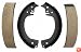 Raybestos 53PG Brake Shoe