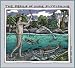 'Perils of Nude Fly Fishing' Ray Troll Magnet
