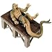 Ymir on Lab Table Cold Cast Resin Figure