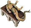Ymir on Lab Table Cold Cast Resin Figure Ymir on Lab Table Cold Cast Resin Figure