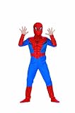 Marvel Spiderman Dress Up (Window Box)