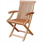 Folding Java Arm Chair (Set of 2)